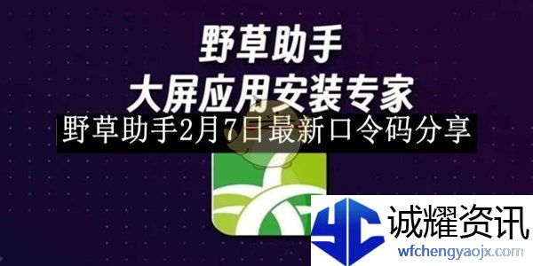 《野草助手》2月7日最新口令码分享