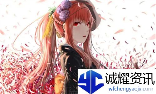 小寡妇汆白肉最经典十首歌曲：探寻细腻情感与生活哲理的音乐之旅