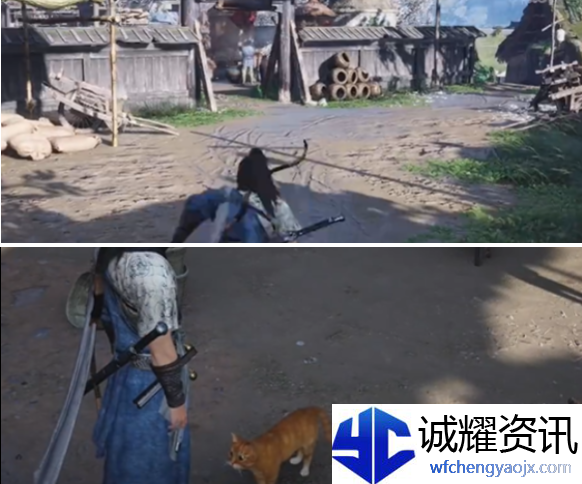 燕云十六声神仙渡猫咪怎么找